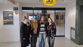 BFS 1: Klassenausflug ins Kino "A Real Pain"